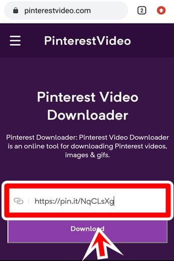 download Pinterest Video
