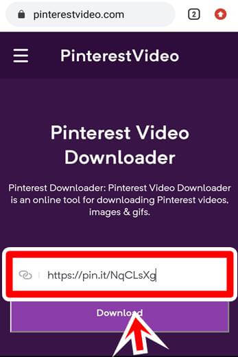 Pinterest Video Downloader / Download Pinterest Video, Gif & Image Free